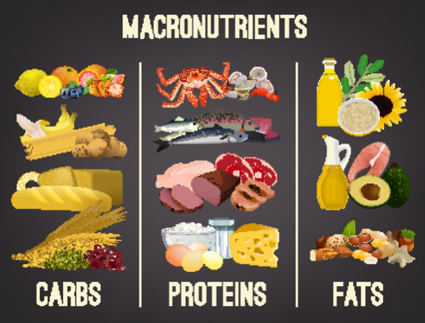 Post Holiday Diets Don’t Work! e-Surgery 