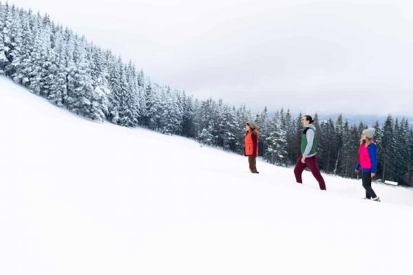 Family walking in the snow at christmas