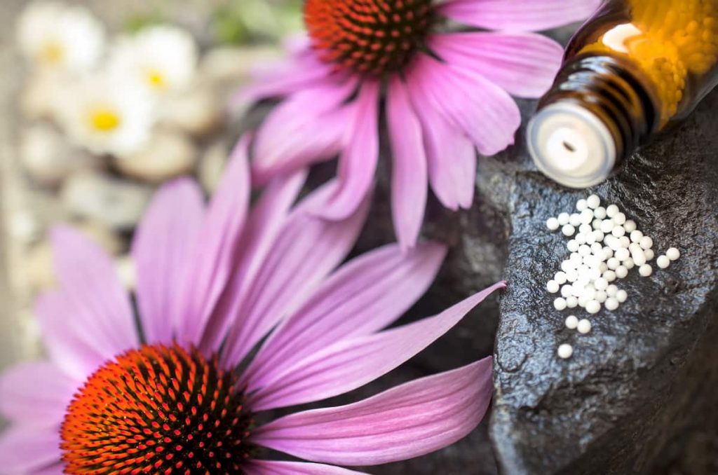 Purple echinacea flowers next to a bottle of echinacea supplements, e-Surgery