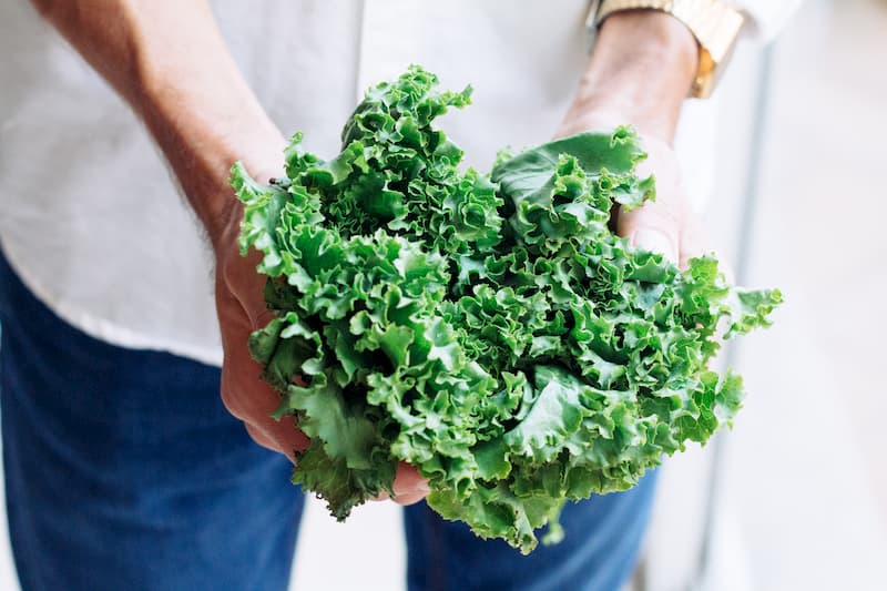 Close up of a person holding green leafy kale towards the camera | Tired All The Time? 6 Common Anaemia Symptoms | e-Surgery 