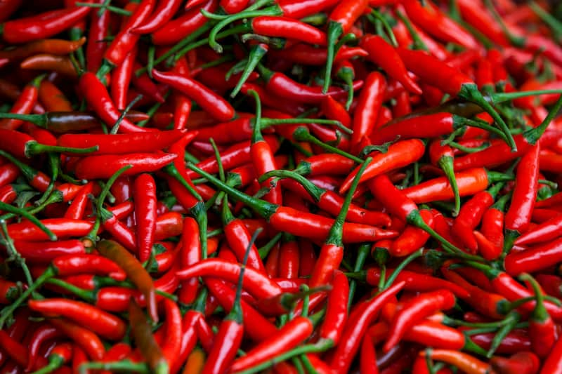 Large pile of red chillies which contain capsaicin, this can help with hay fever at home, e-Surgery