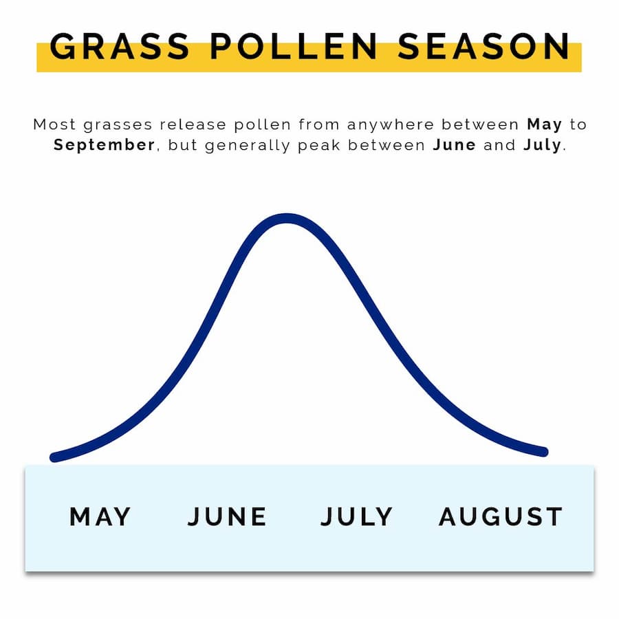 Line graph representing the peak of grass pollen in between June and July | The UK Pollen Guide For Hay Fever Sufferers | e-Surgery 