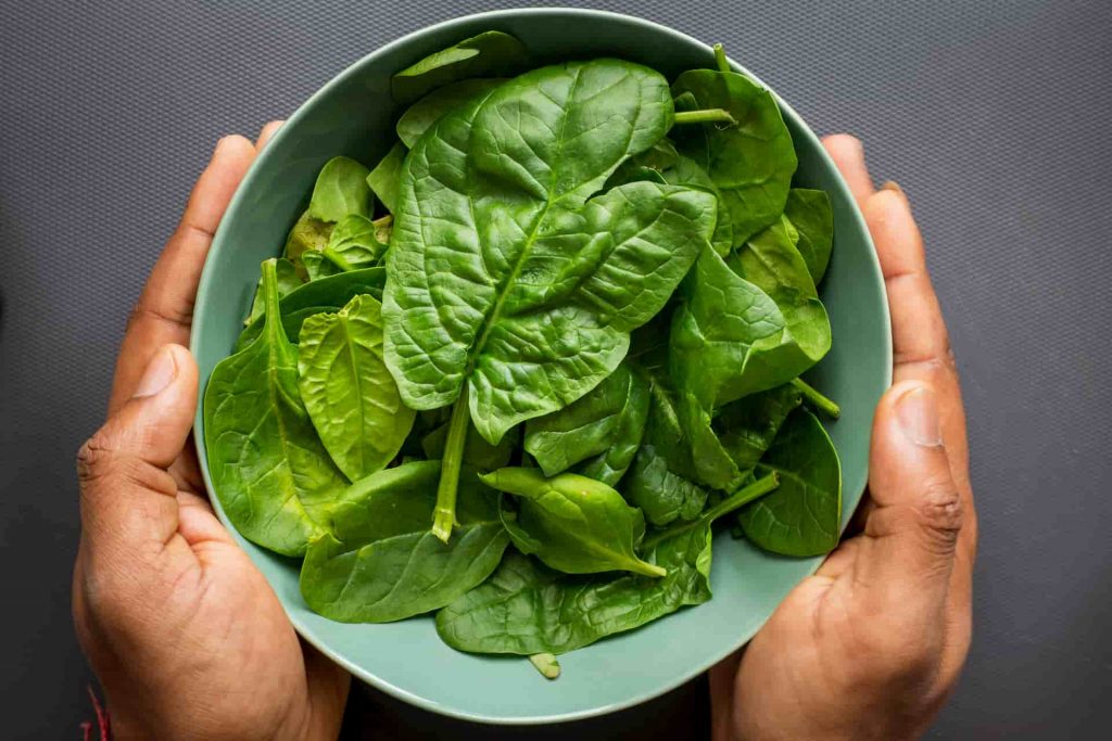 Hands holding bowl of green spinach leaves, a good source of iron for vegans, e-Surgery