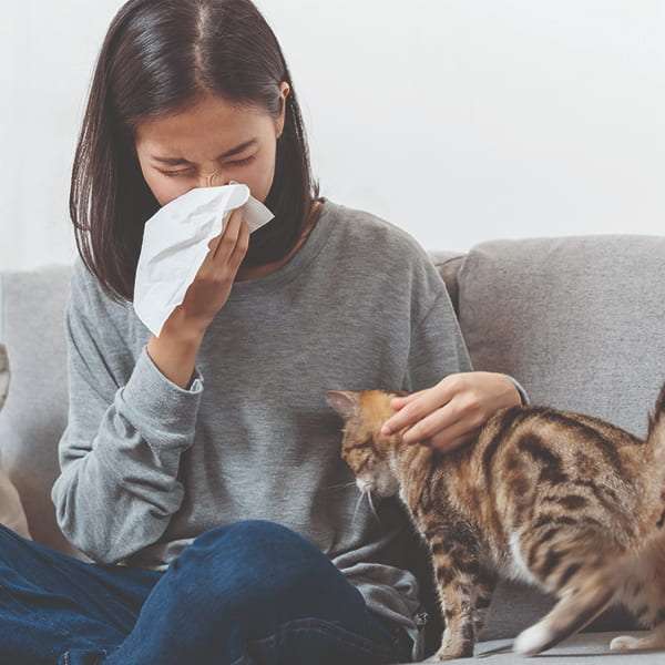 Ultimate Guide: Allergies