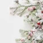 12 Days of a Healthy Eco-Christmas