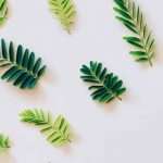 Environmental Policy