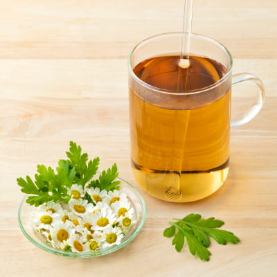 Feverfew herbal remedy to help with headaches, one of Home Remedies for Headache | e-surgery