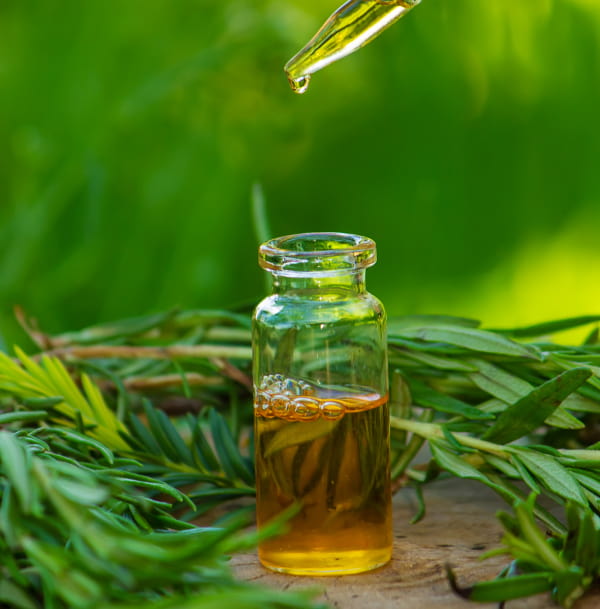 A bottle of tea tree oil used for acne that gets worse in summer