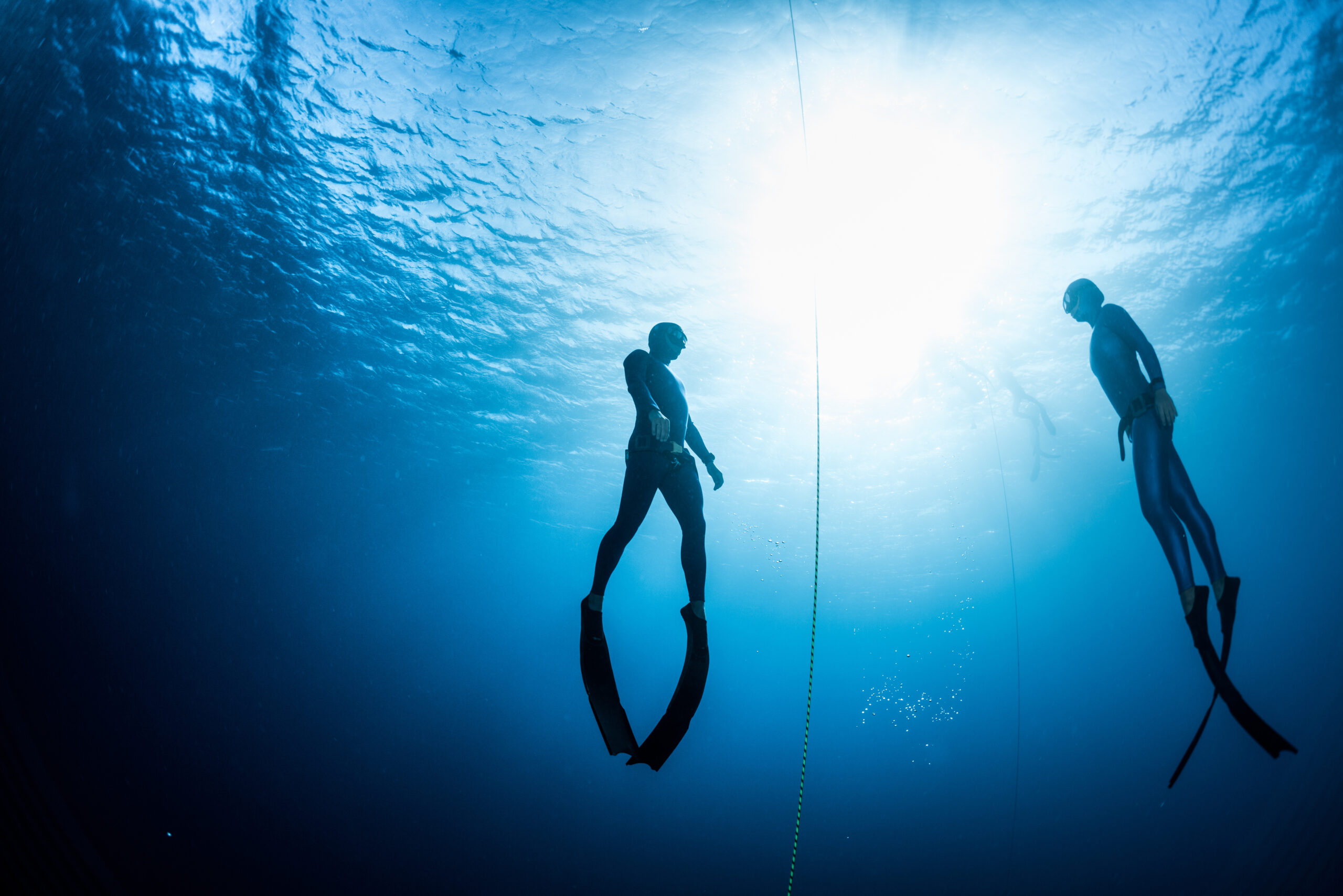 Free Diving vs Scuba Diving: Which Should I Choose?