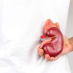 Getting to Know Your Kidney