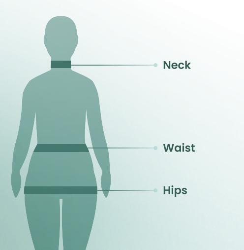 Waist-to-Hip Ratio The Shape of Risk 